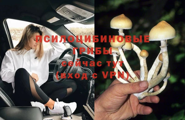 мдпв Новокубанск