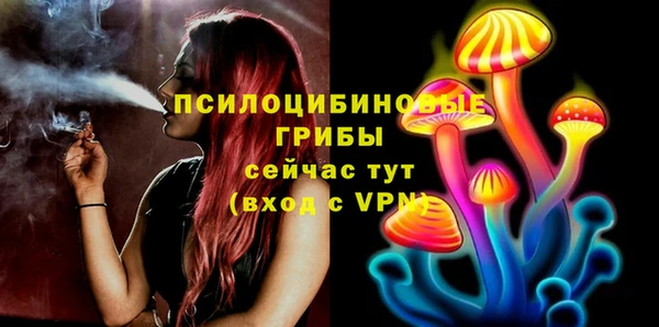 кокс Нягань