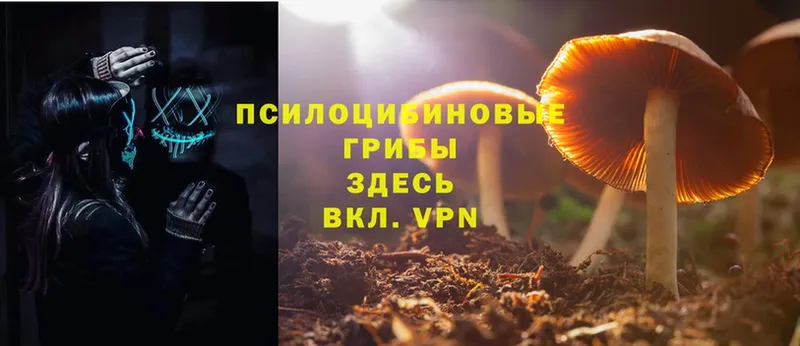 Галлюциногенные грибы Cubensis  закладки  Краснообск 